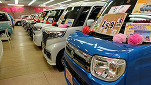 shop2_mb