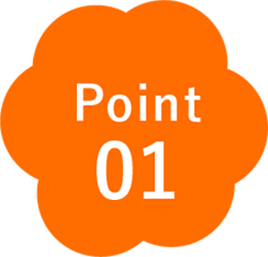 point1_mb