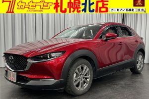【マツダ】　CX-30 20S プロアクティブツーリングセレクション　4WD/ナビフルセグTV/バックモニター/ETC/シートヒーター