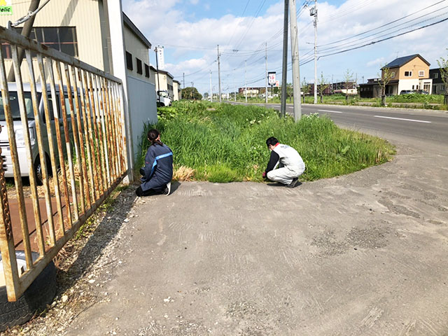 地域清掃活動(2020年)