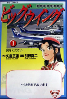 ビッグウイング 東京国際空港物語