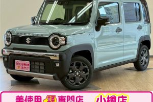 スズキ ハスラー 660 タフワイルド 4WD　全方位モニター（オフブルーメタリック ブラック2トーン）