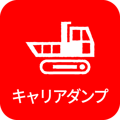 キャリアダンプ