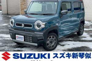 スズキ ハスラー ハイブリッドG 4WD 社外フルセグナビ バックカメラ
